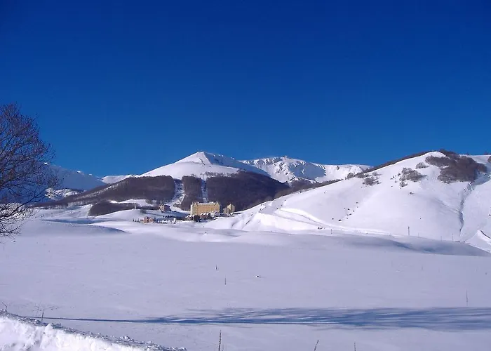 Aparthotel Les Amis 2*